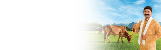 Cattle Finance